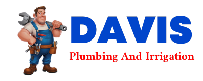 Trusted plumber in DOLAND